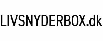 sanders it service hjemmeside forside